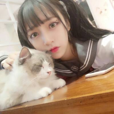 仙路遥游戏